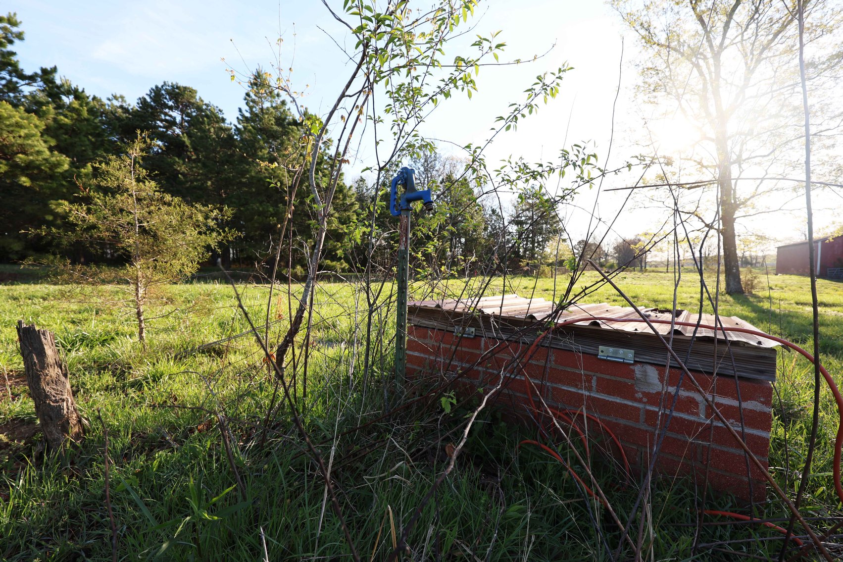 Image for Tract 1 State Hwy DD, Glen Allen, MO 63655, MLS #26022374