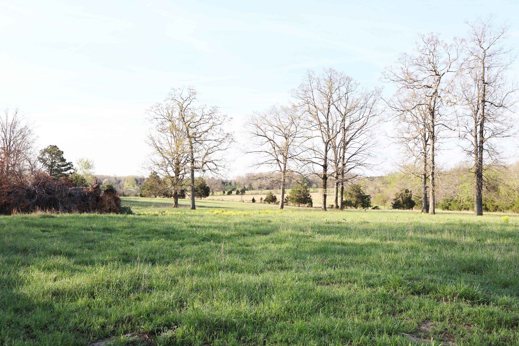 Image for Tract 1 State Hwy DD, Glen Allen, MO 63655, MLS #26022374