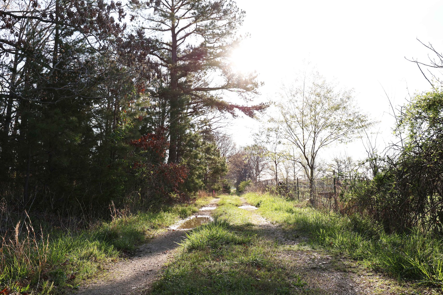 Image for Tract 1 State Hwy DD, Glen Allen, MO 63655, MLS #26022374