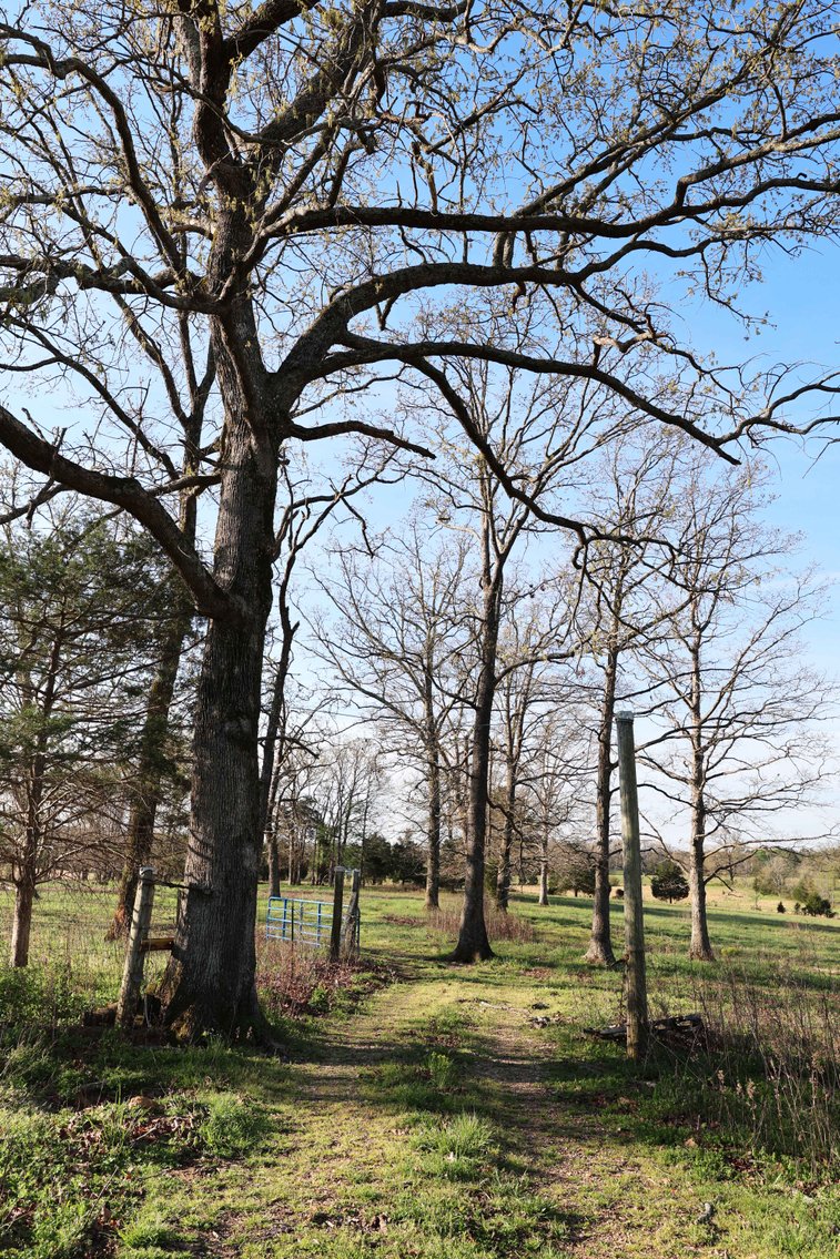 Image for Tract 1 State Hwy DD, Glen Allen, MO 63655, MLS #26022374