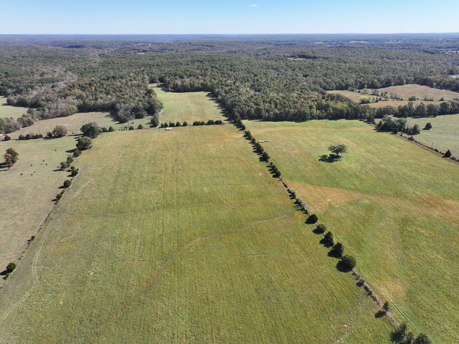 Image for Tract 2 State Hwy DD, Glen Allen, MO 63655, MLS # 26022401