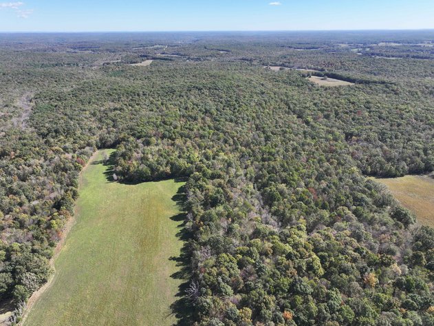 Image for Tract 3 State Hwy DD, Glen Allen, MO 63655, MLS #26022418