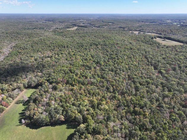 Image for Tract 3 State Hwy DD, Glen Allen, MO 63655, MLS #26022418