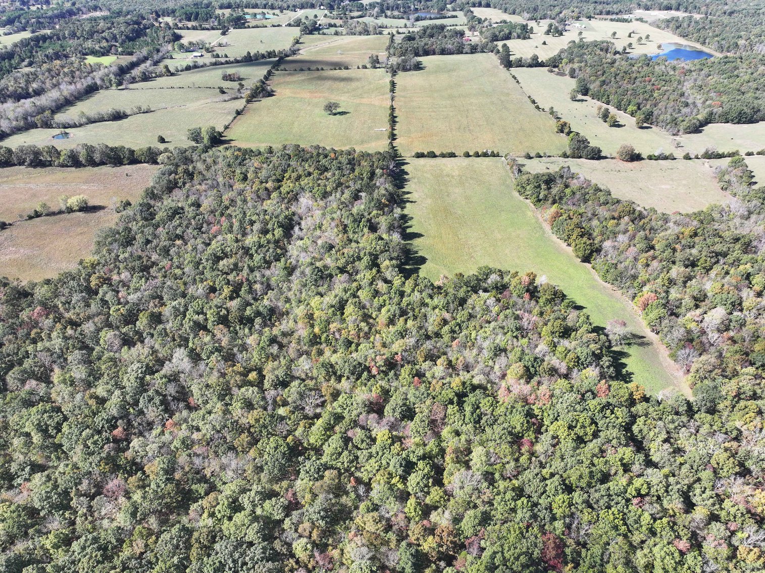 Image for Tract 3 State Hwy DD, Glen Allen, MO 63655, MLS #26022418