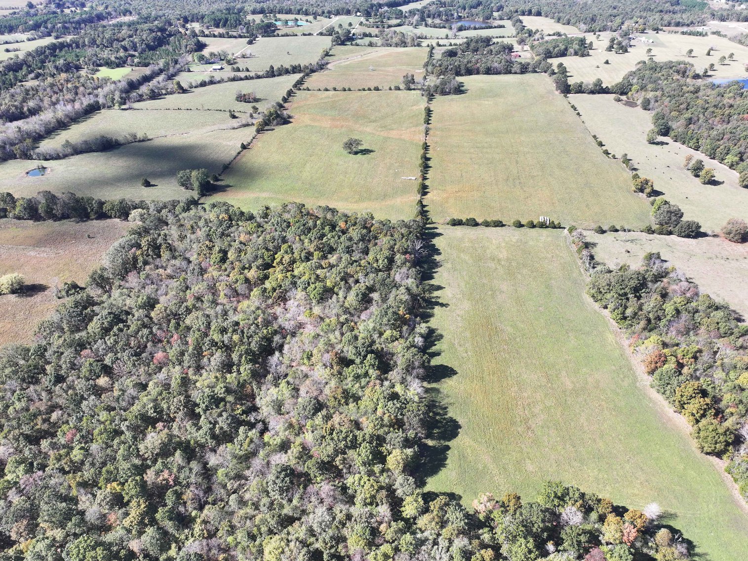 Image for Tract 3 State Hwy DD, Glen Allen, MO 63655, MLS #26022418