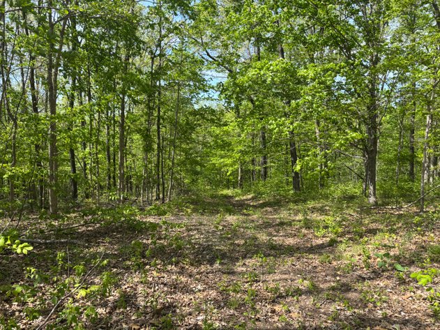 Image for Lots 120, 123-127 Rocky Ln, Perryville MO 63775, MLS#26024761