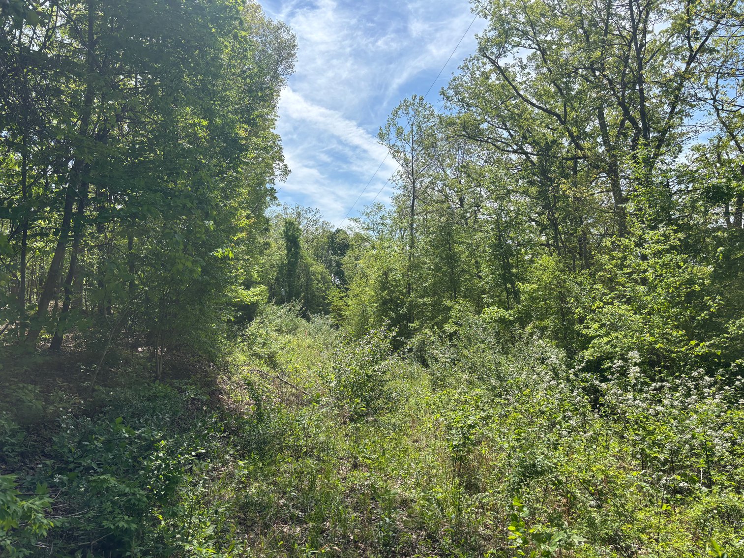 Image for Lots 120, 123-127 Rocky Ln, Perryville MO 63775, MLS#26024761