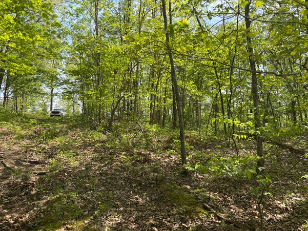 Image for Lots 120, 123-127 Rocky Ln, Perryville MO 63775, MLS#26024761