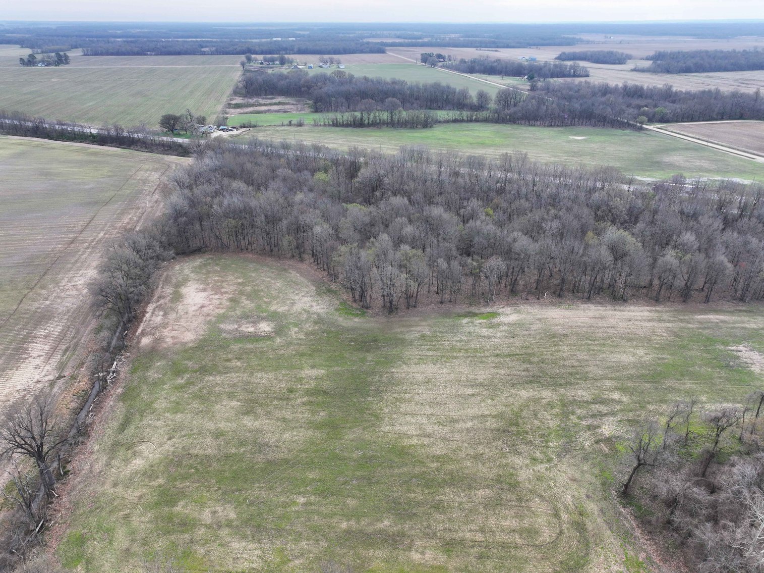 Image for Off US Hwy 67, Neelyville MO 63954, MLS #26024962