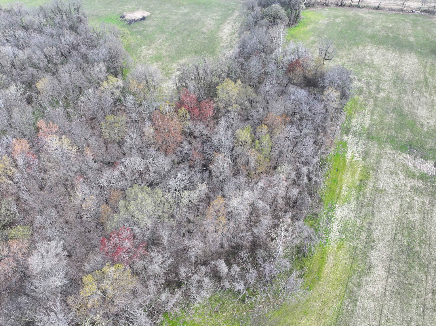 Image for Off US Hwy 67, Neelyville MO 63954, MLS #26024962