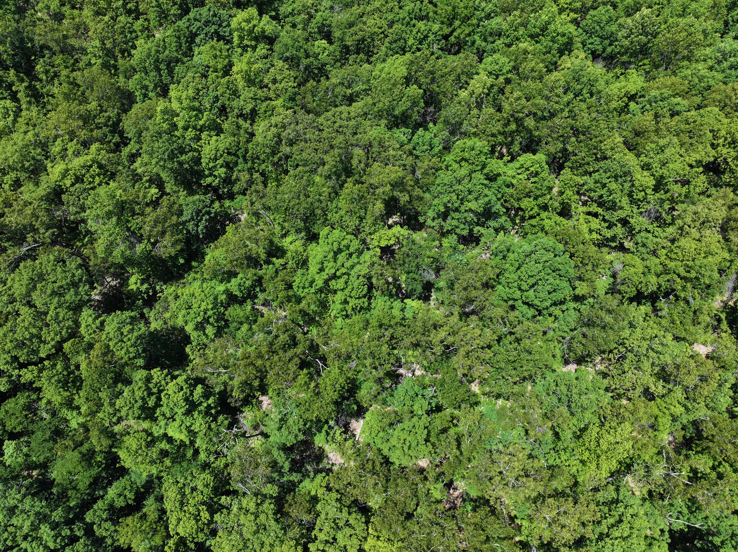 Image for 21.1 Ac +/-, Tract 4 BCR 930, Patton , MO 63662, MLS #26030017