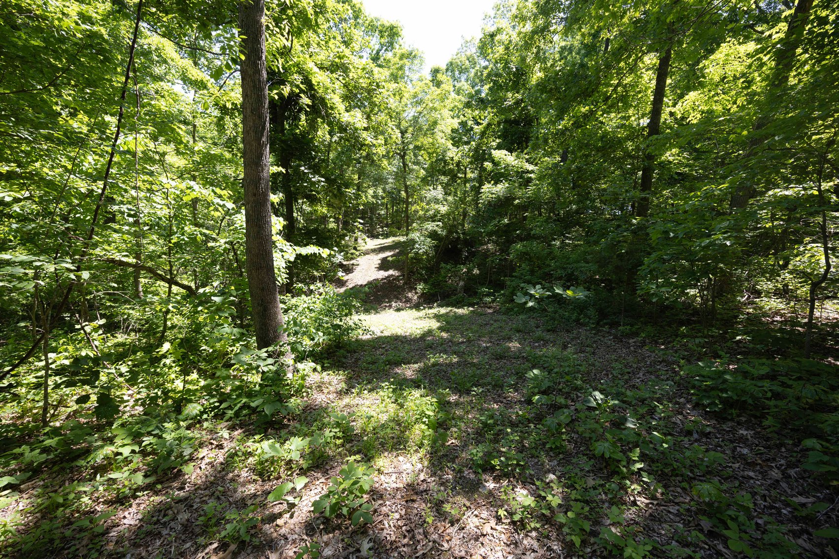 Image for 21.1 Ac +/-, Tract 4 BCR 930, Patton , MO 63662, MLS #26030017
