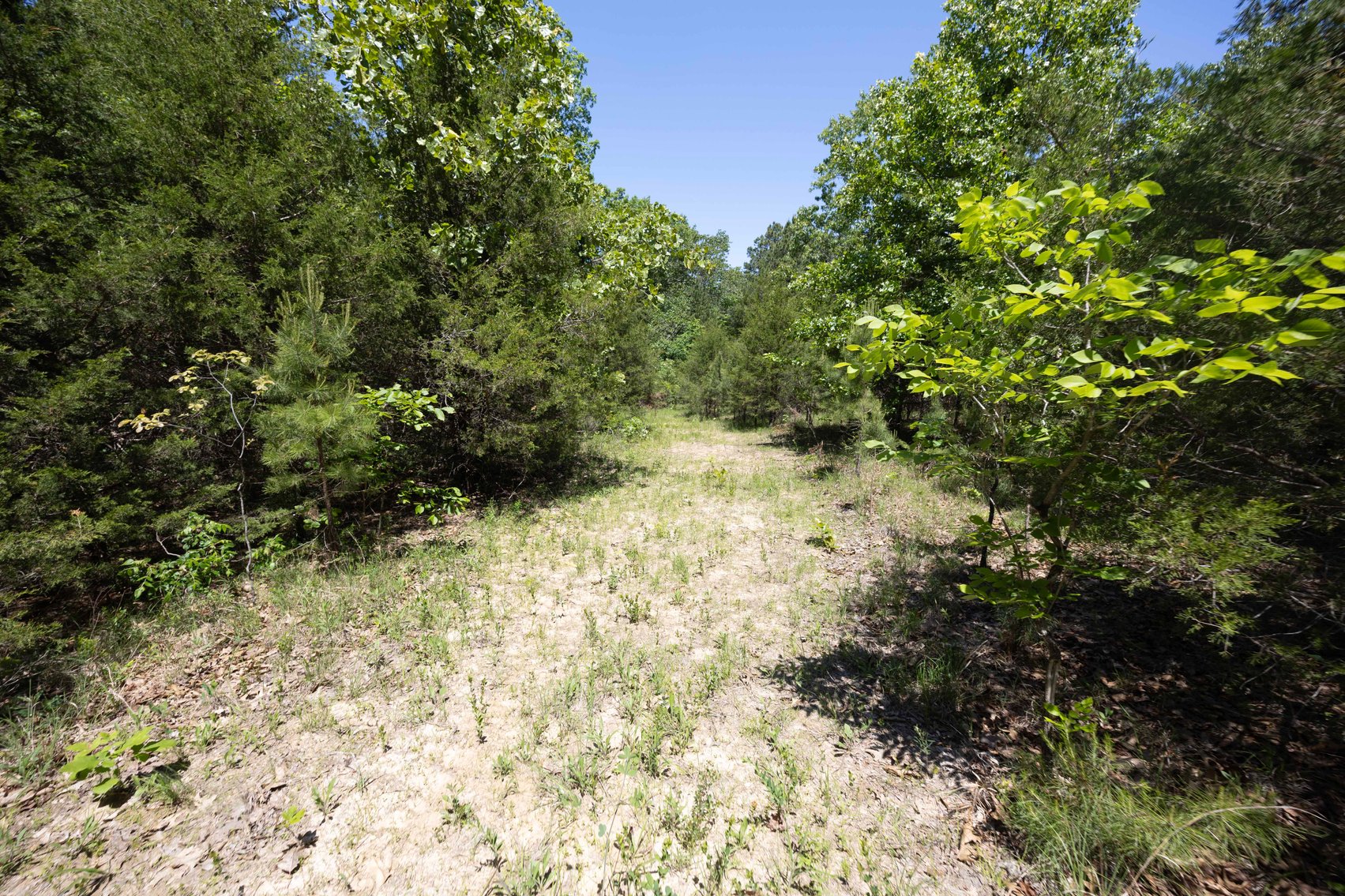 Image for 21.1 Ac +/-, Tract 4 BCR 930, Patton , MO 63662, MLS #26030017
