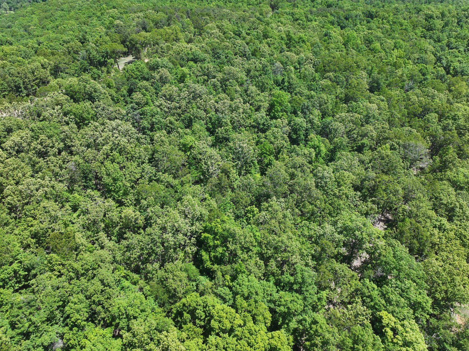 Image for 35.3 Ac +/-, Tract 5, BCR 930, Patton, MO 63662, MLS #26030022