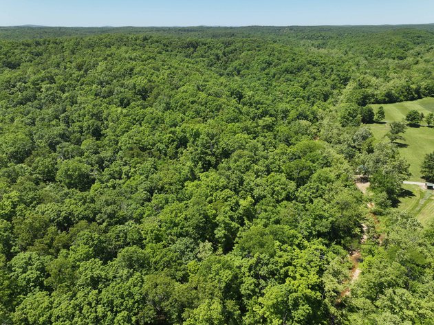Image for 46.5 Ac +/-, Tract 3 BCR 930, Patton, MO 63662, MLS #26030011