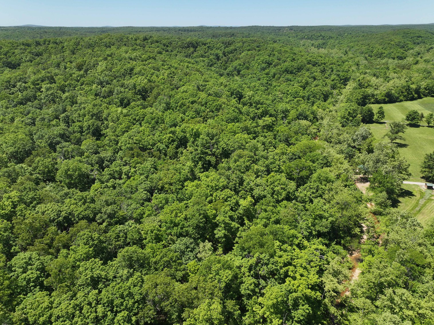 Image for 46.5 Ac +/-, Tract 3 BCR 930, Patton, MO 63662, MLS #26030011