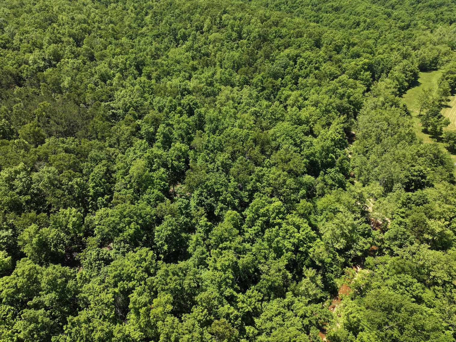 Image for 46.5 Ac +/-, Tract 3 BCR 930, Patton, MO 63662, MLS #26030011