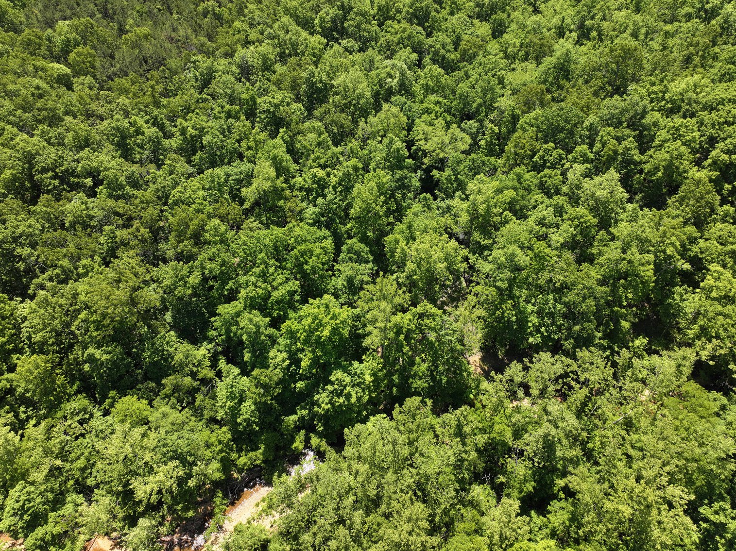 Image for 46.5 Ac +/-, Tract 3 BCR 930, Patton, MO 63662, MLS #26030011