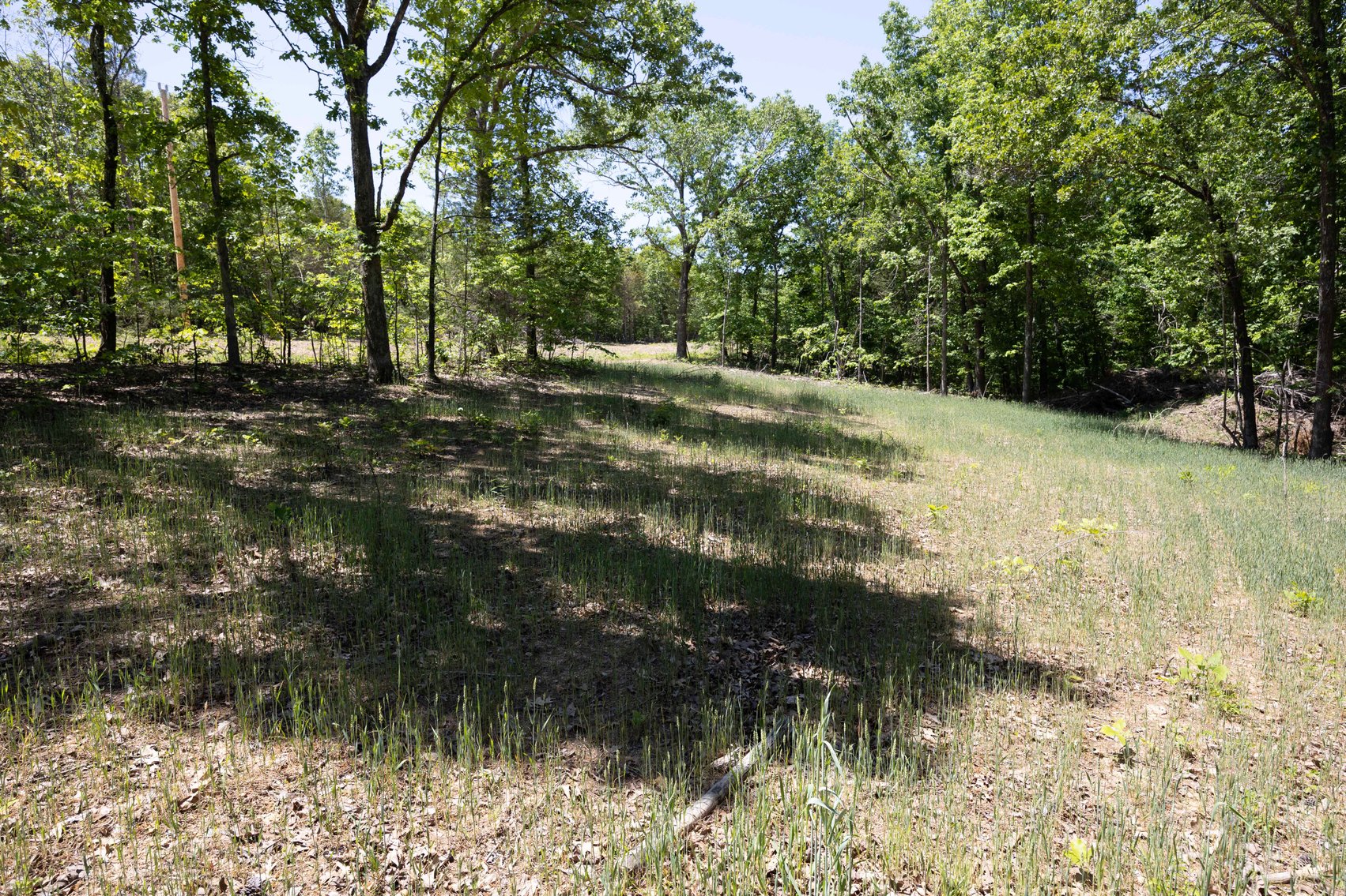 Image for 46.5 Ac +/-, Tract 3 BCR 930, Patton, MO 63662, MLS #26030011