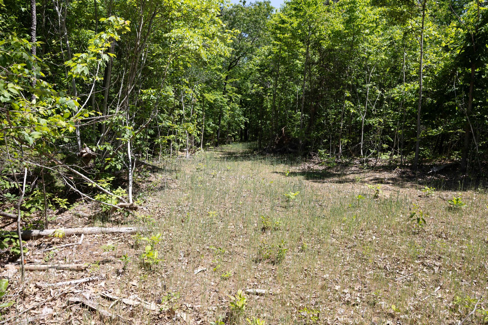 Image for 46.5 Ac +/-, Tract 3 BCR 930, Patton, MO 63662, MLS #26030011