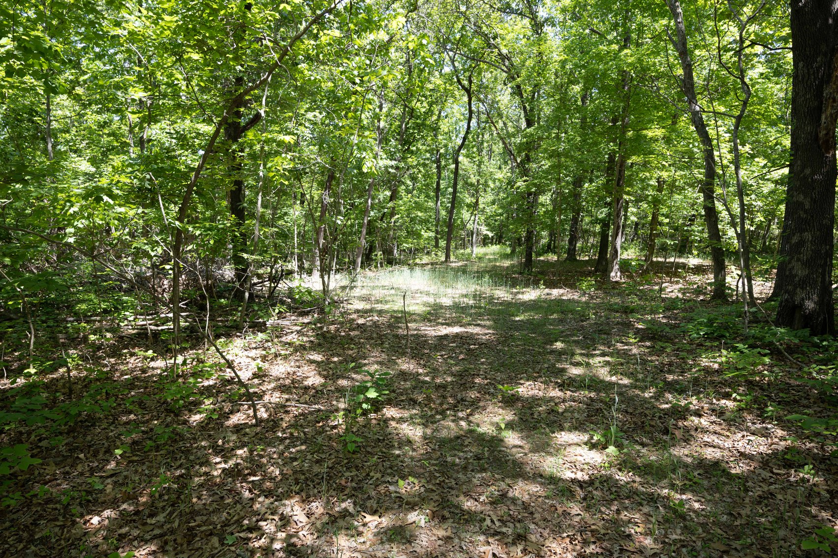 Image for 46.5 Ac +/-, Tract 3 BCR 930, Patton, MO 63662, MLS #26030011