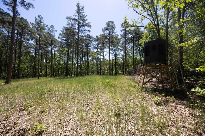Image for 46.5 Ac +/-, Tract 3 BCR 930, Patton, MO 63662, MLS #26030011