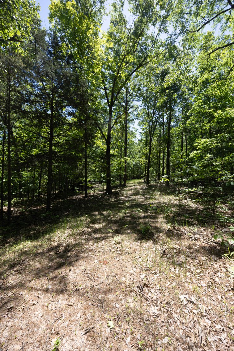 Image for 46.5 Ac +/-, Tract 3 BCR 930, Patton, MO 63662, MLS #26030011