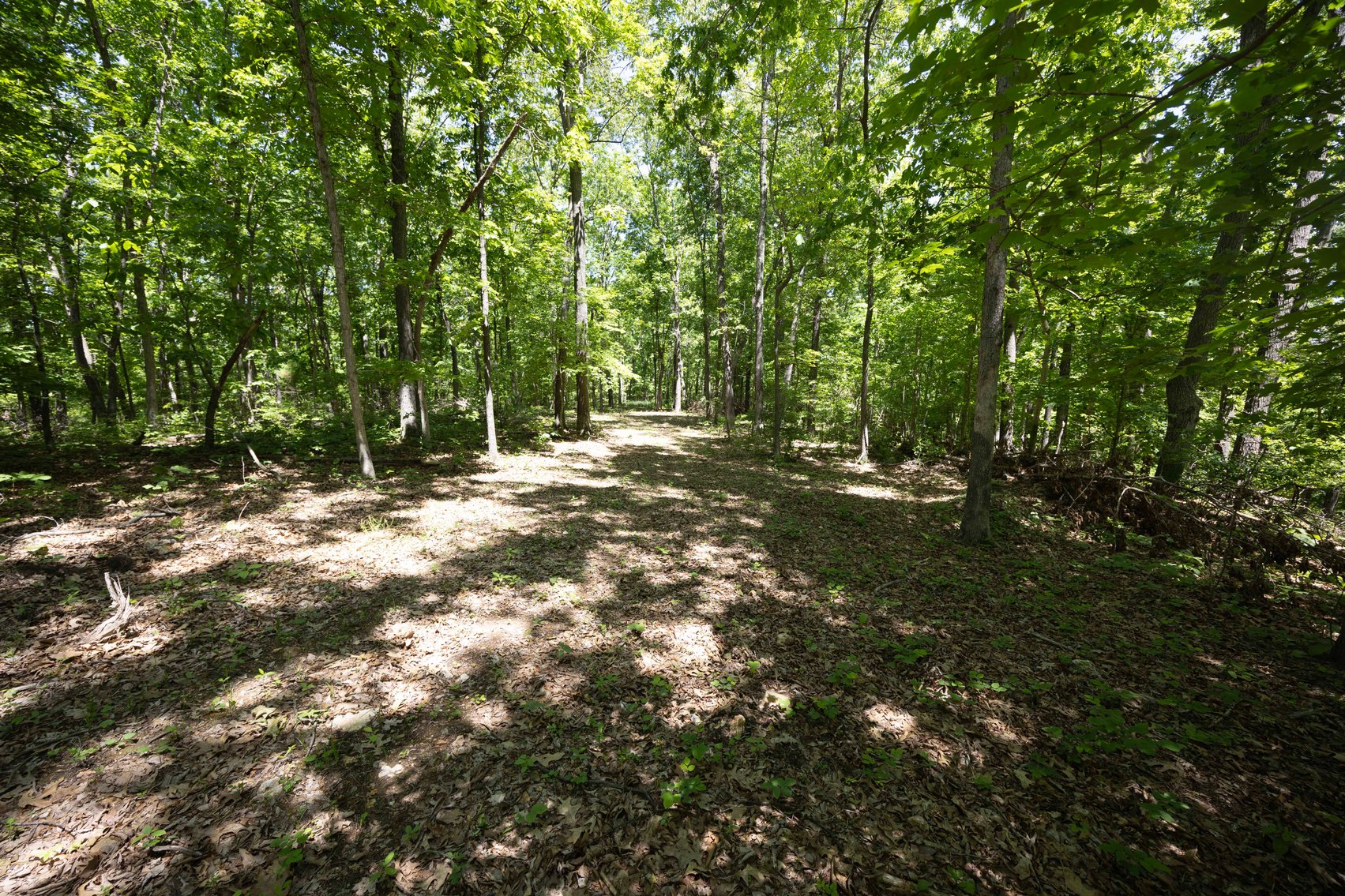 Image for 46.5 Ac +/-, Tract 3 BCR 930, Patton, MO 63662, MLS #26030011