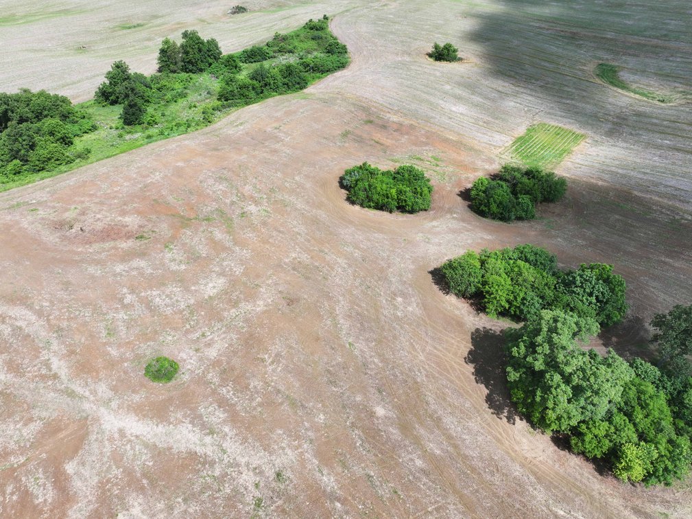 Image for 8 ac +/-, Tract 1 Off PCR 902, Perryville, MO 63775, MLS #26033136