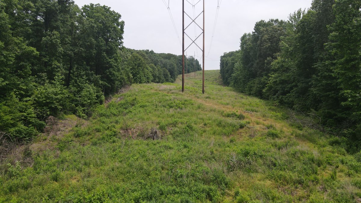 Image for 101 County Road 389, Whitewater, MO 63785, MLS # 26033854