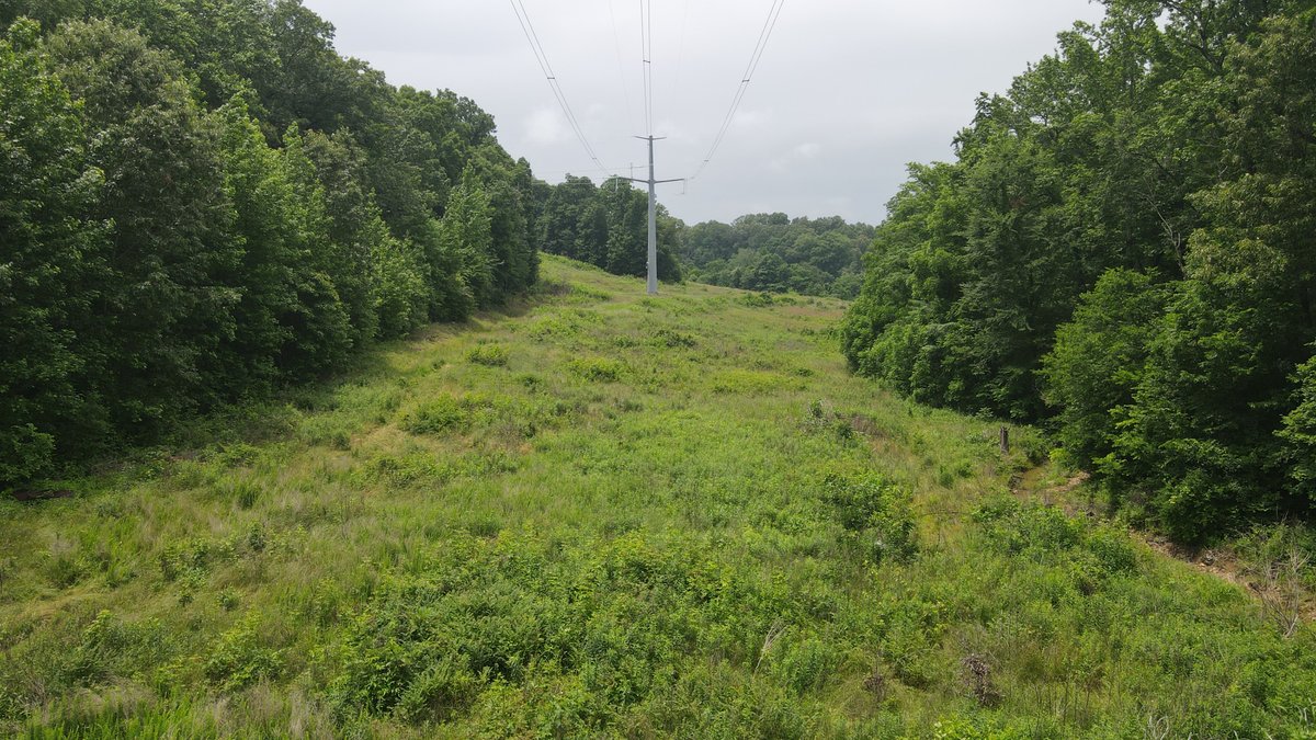 Image for 101 County Road 389, Whitewater, MO 63785, MLS # 26033854