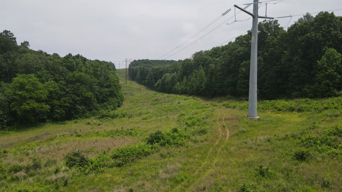 Image for 101 County Road 389, Whitewater, MO 63785, MLS # 26033854