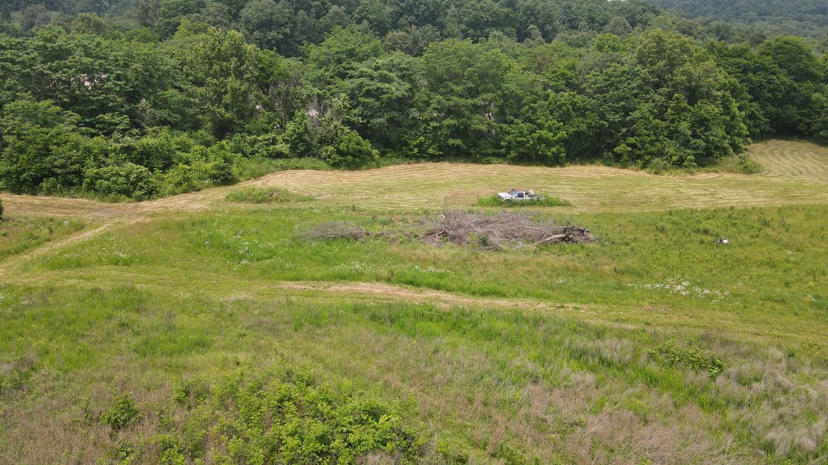 Image for 101 County Road 389, Whitewater, MO 63785, MLS # 26033854