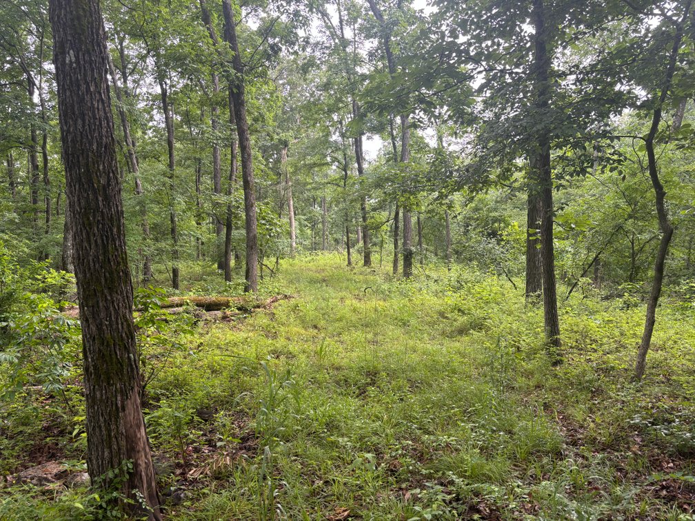 Image for 101 County Road 389, Whitewater, MO 63785, MLS # 26033854