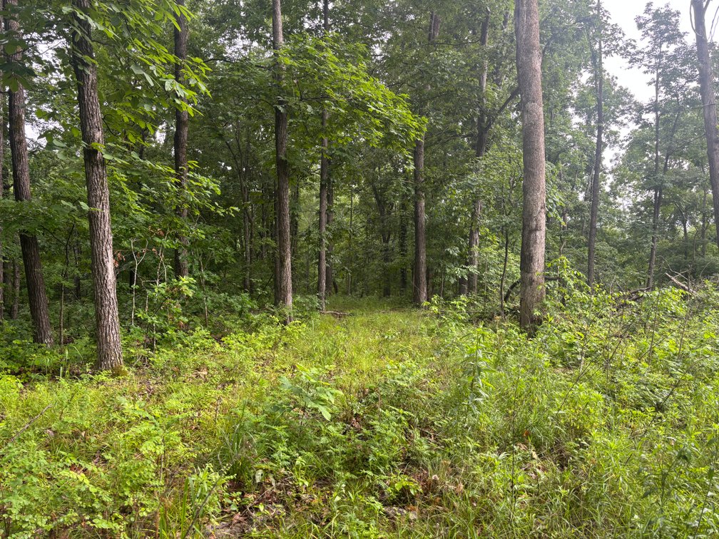 Image for 101 County Road 389, Whitewater, MO 63785, MLS # 26033854