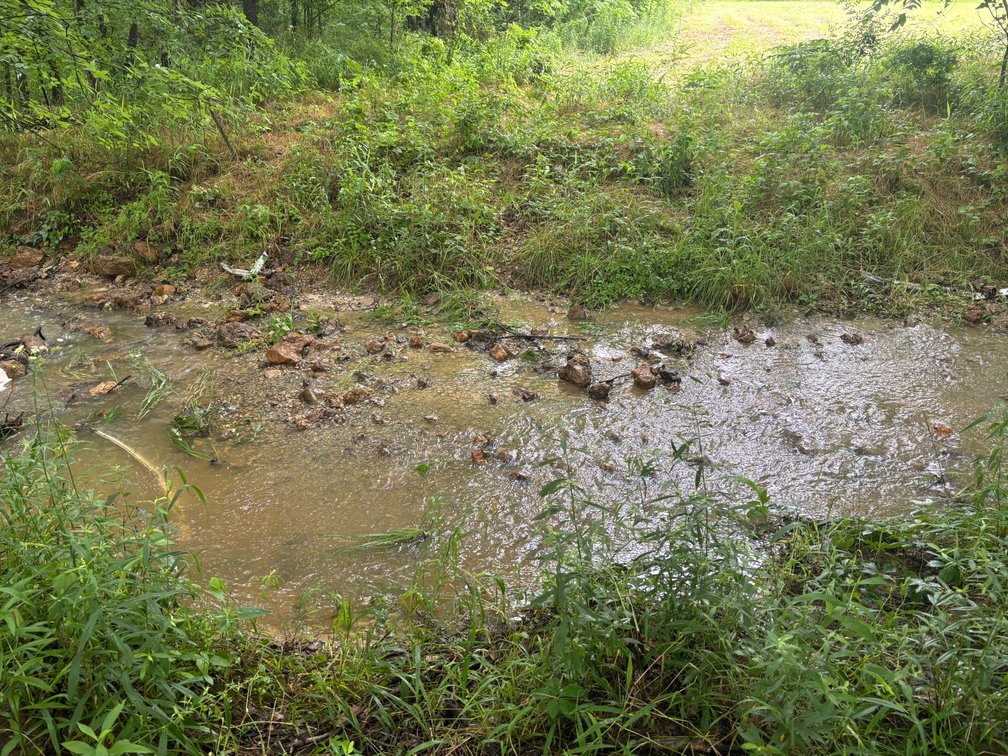 Image for 101 County Road 389, Whitewater, MO 63785, MLS # 26033854