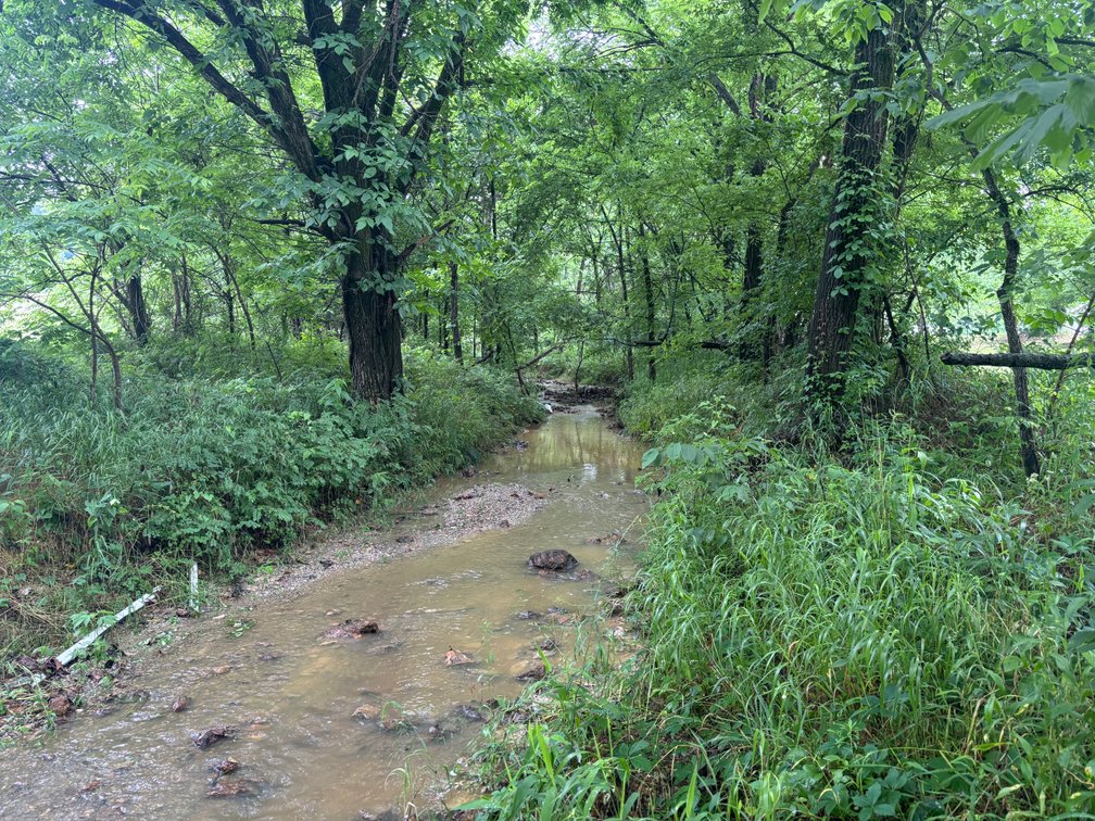 Image for 101 County Road 389, Whitewater, MO 63785, MLS # 26033854