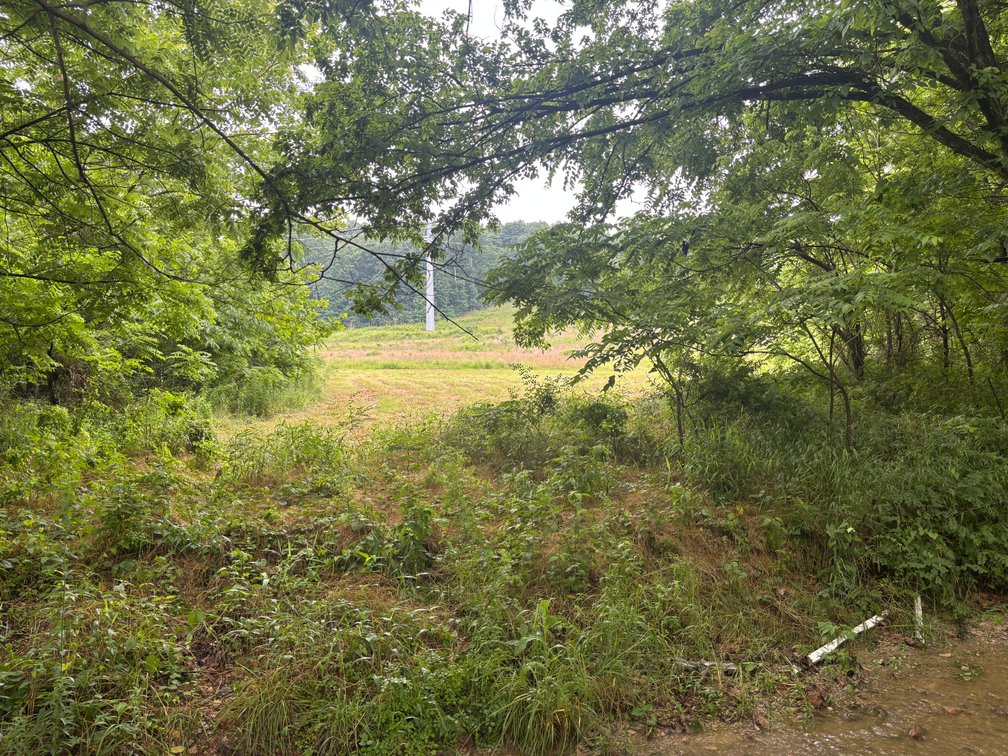 Image for 101 County Road 389, Whitewater, MO 63785, MLS # 26033854