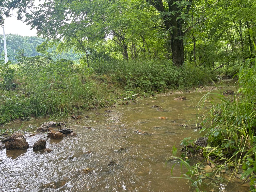 Image for 101 County Road 389, Whitewater, MO 63785, MLS # 26033854