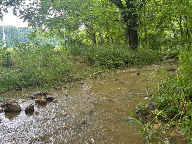Image for 101 County Road 389, Whitewater, MO 63785, MLS # 26033854
