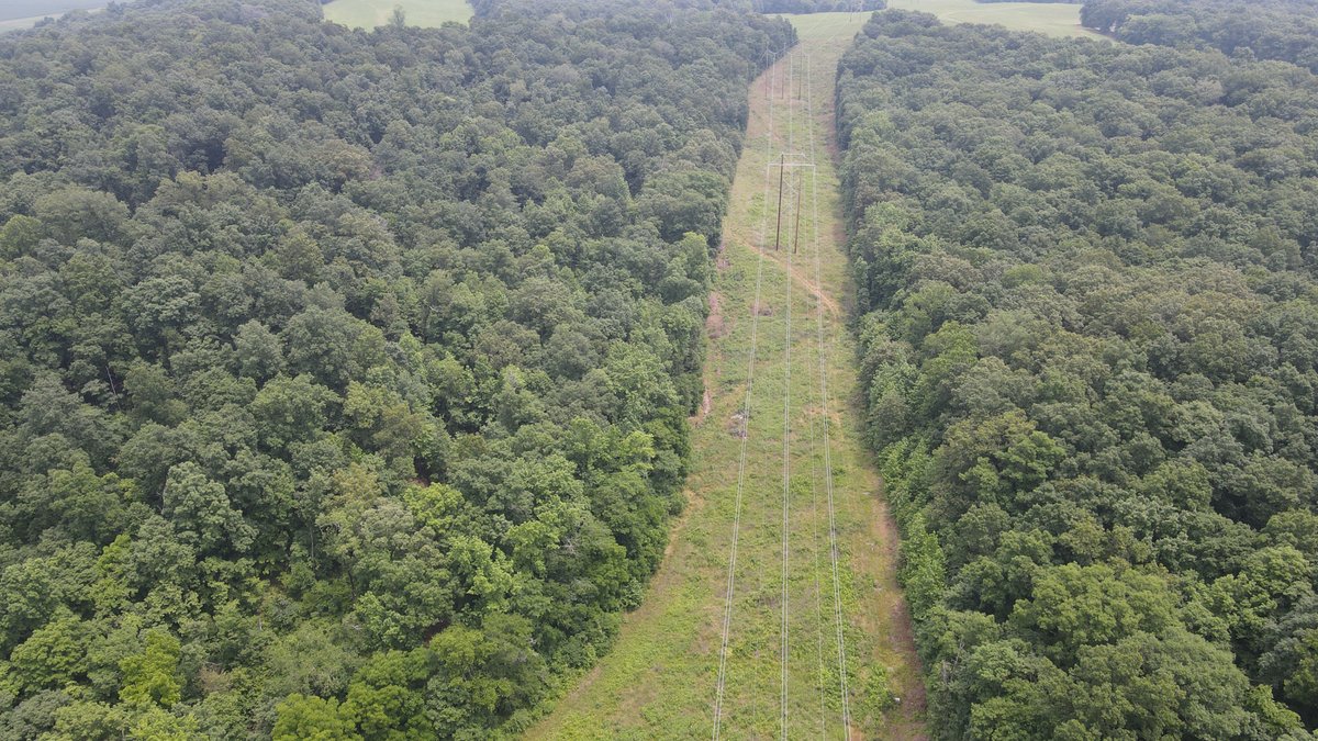 Image for 101 County Road 389, Whitewater, MO 63785, MLS # 26033854