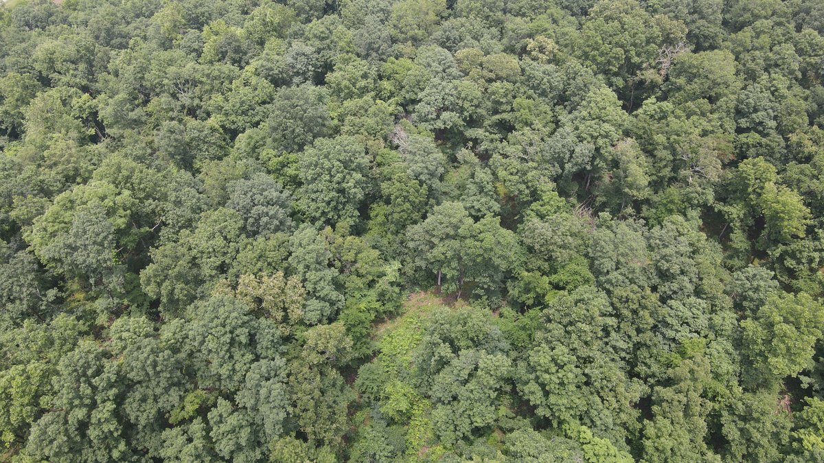 Image for 101 County Road 389, Whitewater, MO 63785, MLS # 26033854