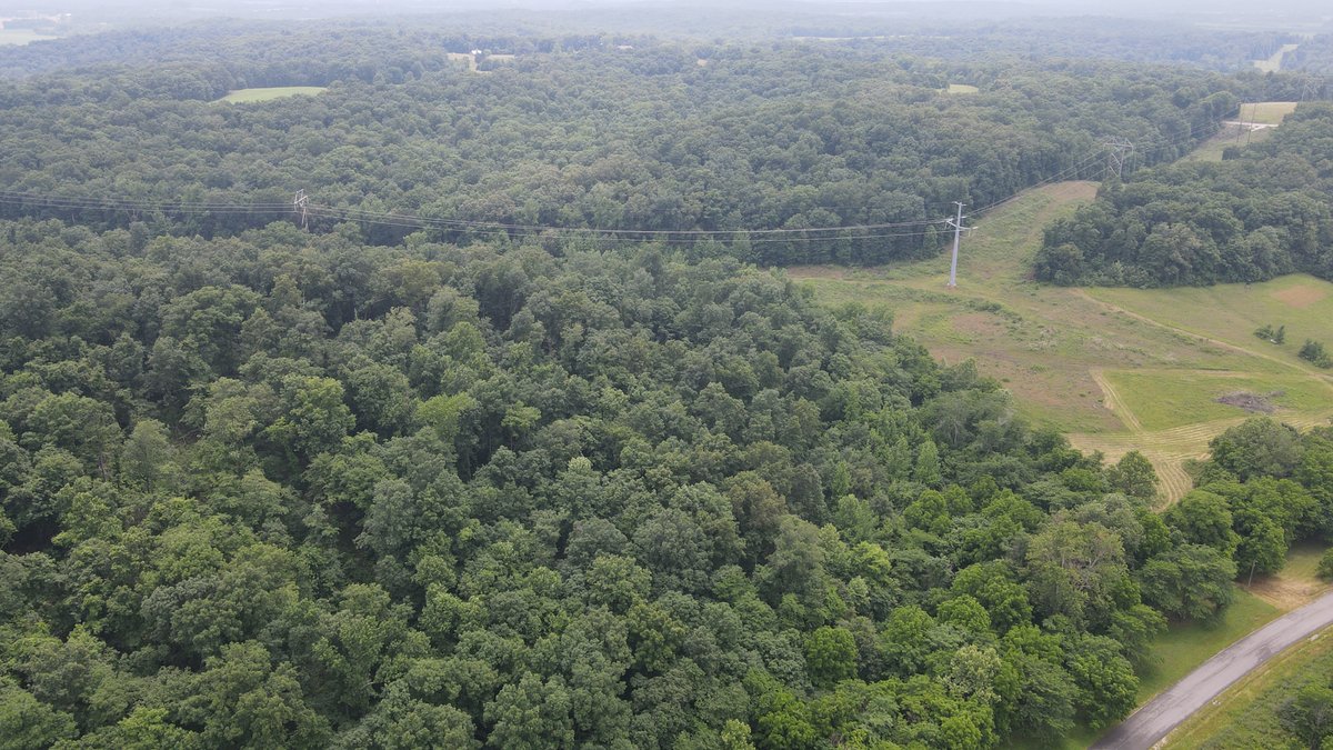Image for 101 County Road 389, Whitewater, MO 63785, MLS # 26033854