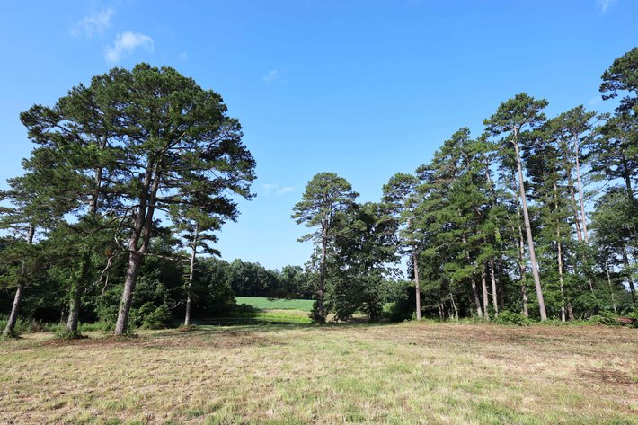 Image for 29259 State Highway O, Marquand, MO 63655
