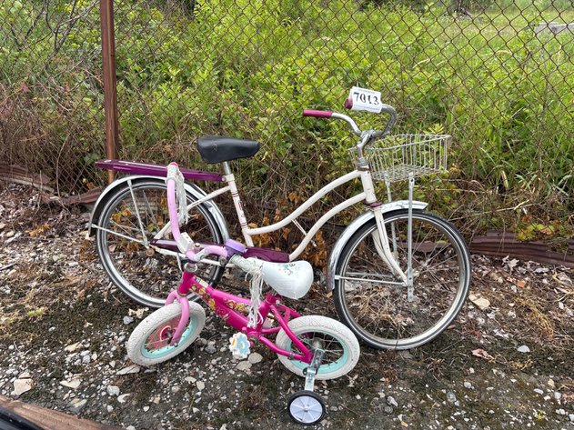 Image for D1. Adult bike and kid bike