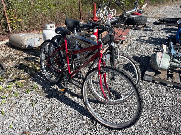 Image for D1. (2) bikes