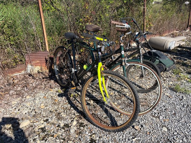 Image for D1. (3) bikes