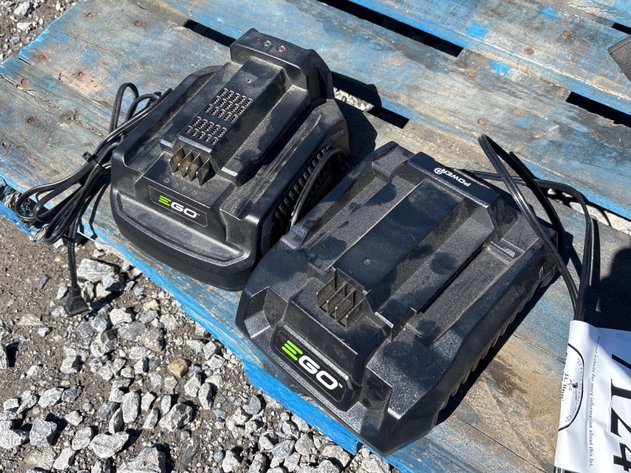 Image for D1. (2) ego battery charger