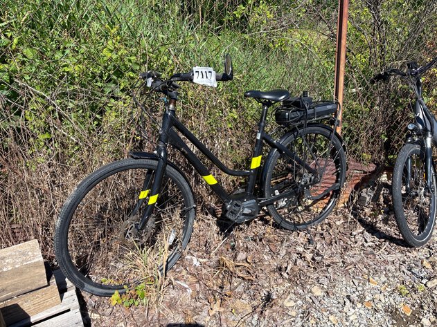 Image for D1. Raleigh electric bike
