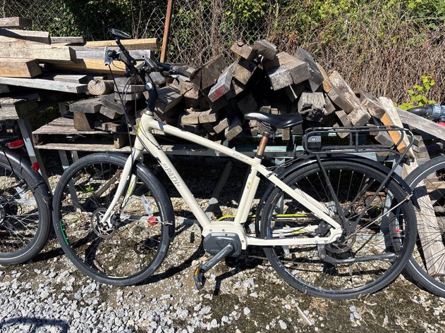 Image for D1. E3 Path electric bike